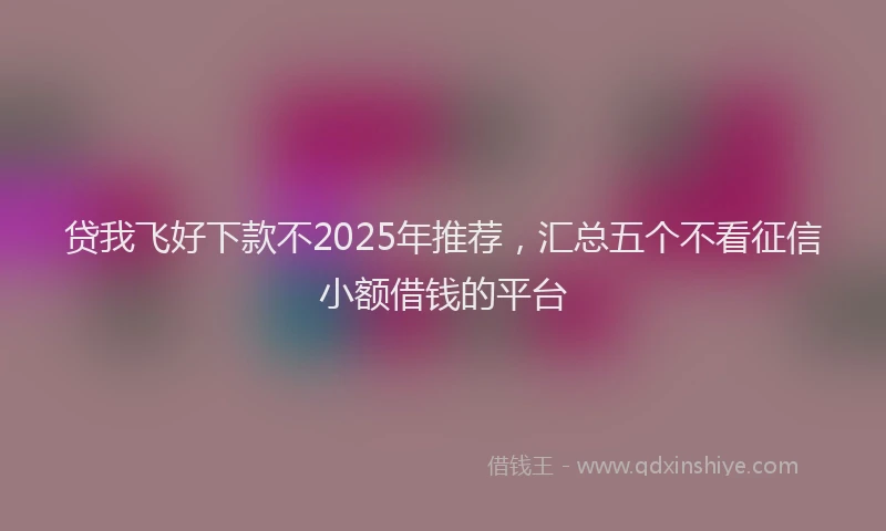 贷我飞好下款不2025年推荐，汇总五个不看征信小额借钱的平台