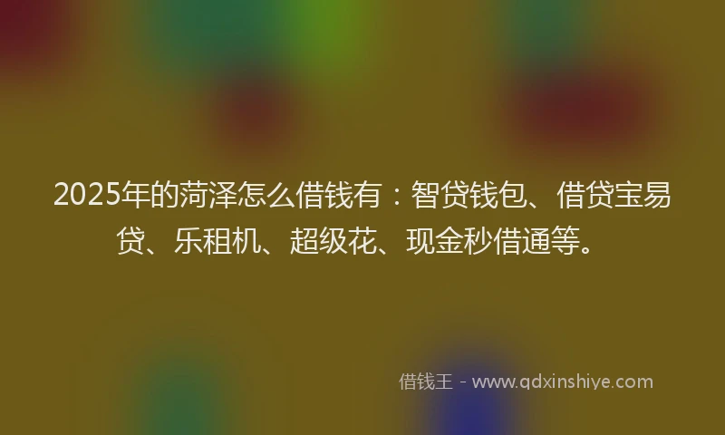 2025年的菏泽怎么借钱有：智贷钱包、借贷宝易贷、乐租机、超级花、现金秒借通等。