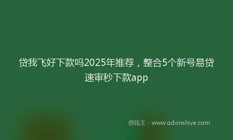 贷我飞好下款吗2025年推荐，整合5个新号易贷速审秒下款app