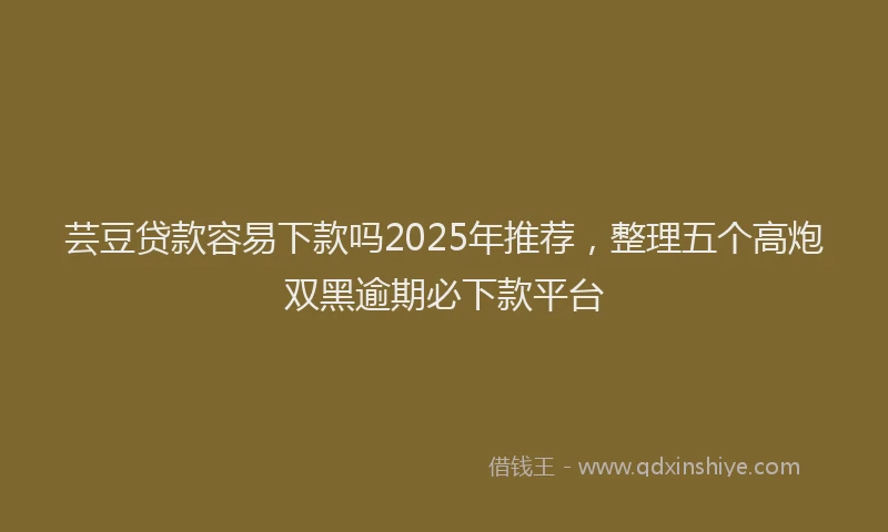 芸豆贷款容易下款吗2025年推荐，整理五个高炮双黑逾期必下款平台