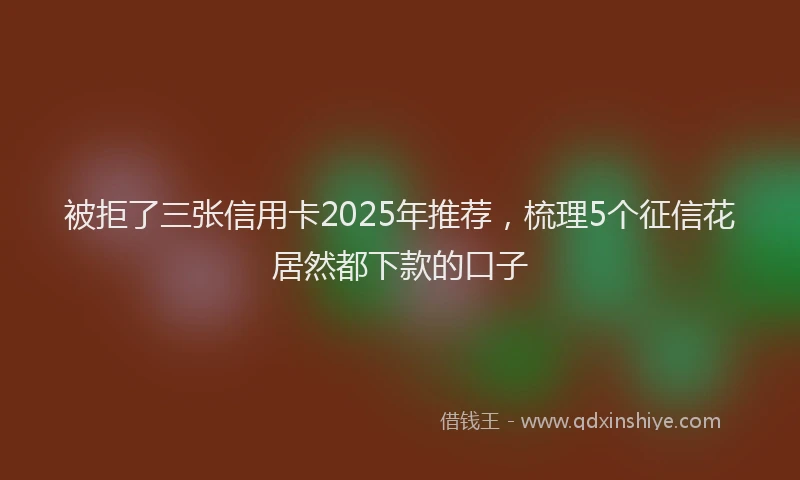 被拒了三张信用卡2025年推荐，梳理5个征信花居然都下款的口子