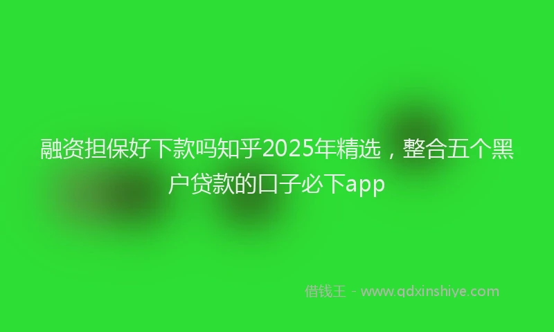 融资担保好下款吗知乎2025年精选，整合五个黑户贷款的口子必下app