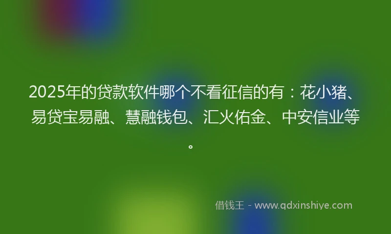 2025年的贷款软件哪个不看征信的有：花小猪、易贷宝易融、慧融钱包、汇火佑金、中安信业等。