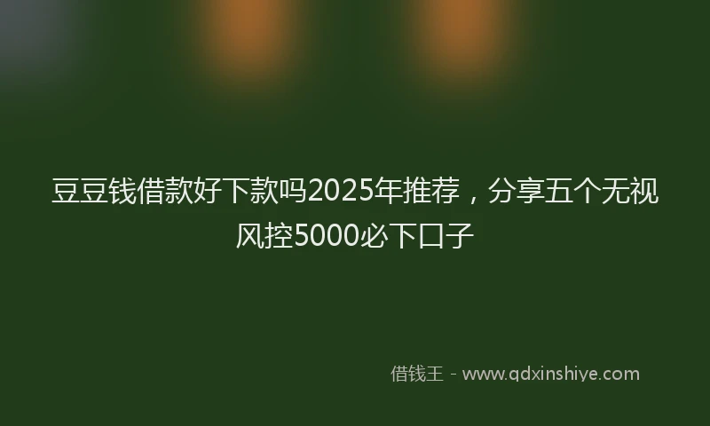 豆豆钱借款好下款吗2025年推荐，分享五个无视风控5000必下口子