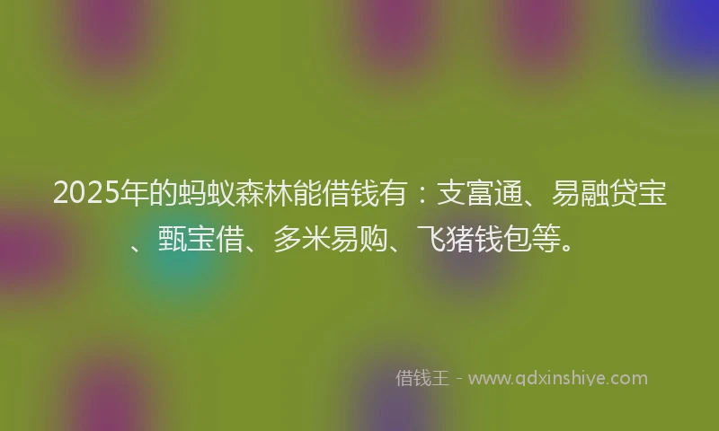 2025年的蚂蚁森林能借钱有：支富通、易融贷宝、甄宝借、多米易购、飞猪钱包等。