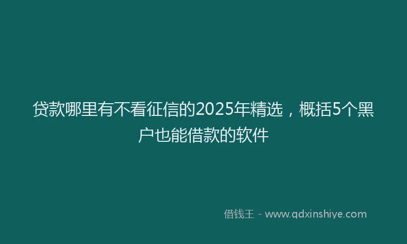 贷款哪里有不看征信的2025年精选，概括5个黑户也能借款的软件