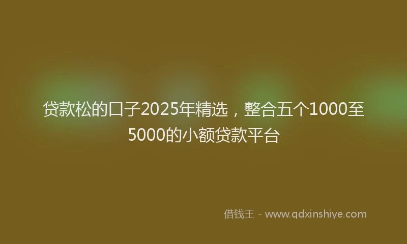 贷款松的口子2025年精选，整合五个1000至5000的小额贷款平台
