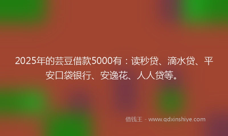 2025年的芸豆借款5000有：读秒贷、滴水贷、平安口袋银行、安逸花、人人贷等。