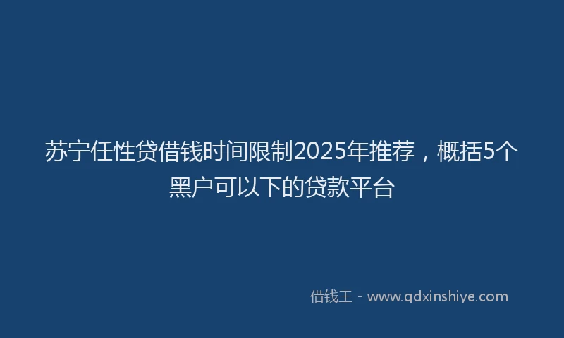 苏宁任性贷借钱时间限制2025年推荐，概括5个黑户可以下的贷款平台