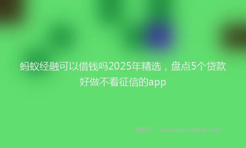 蚂蚁经融可以借钱吗2025年精选，盘点5个贷款好做不看征信的app