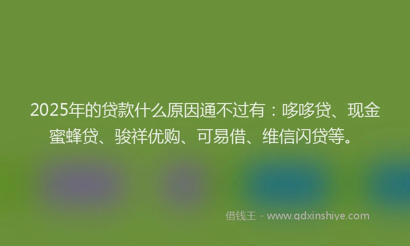 2025年的贷款什么原因通不过有：哆哆贷、现金蜜蜂贷、骏祥优购、可易借、维信闪贷等。