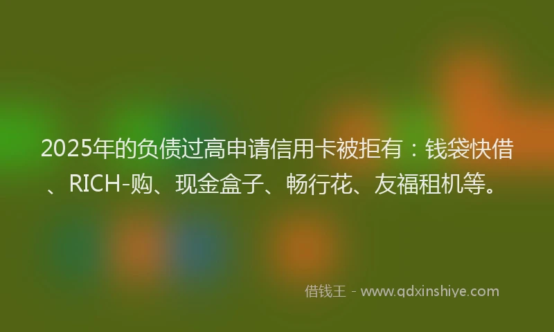 2025年的负债过高申请信用卡被拒有：钱袋快借、RICH-购、现金盒子、畅行花、友福租机等。