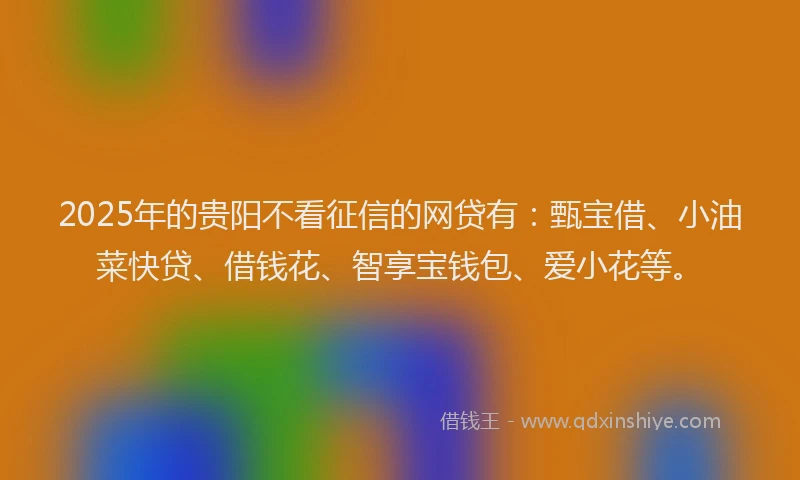 2025年的贵阳不看征信的网贷有：甄宝借、小油菜快贷、借钱花、智享宝钱包、爱小花等。
