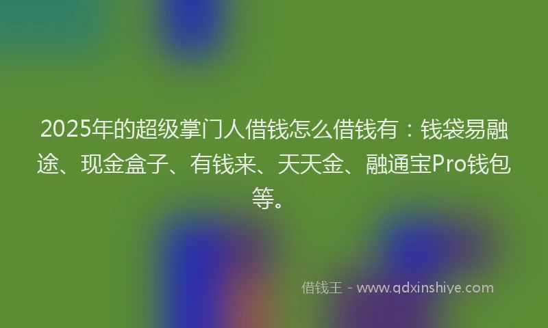 2025年的超级掌门人借钱怎么借钱有：钱袋易融途、现金盒子、有钱来、天天金、融通宝Pro钱包等。