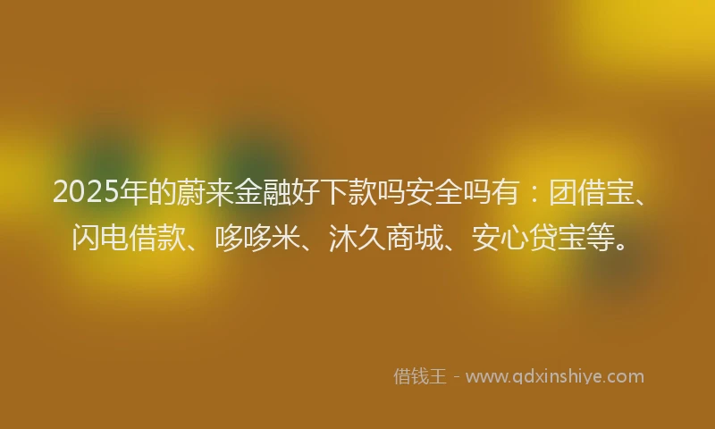 2025年的蔚来金融好下款吗安全吗有：团借宝、闪电借款、哆哆米、沐久商城、安心贷宝等。