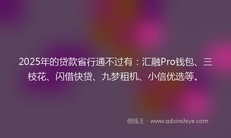 2025年的贷款省行通不过有：汇融Pro钱包、三枝花、闪借快贷、九梦租机、小信优选等。