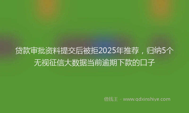 贷款审批资料提交后被拒2025年推荐，归纳5个无视征信大数据当前逾期下款的口子