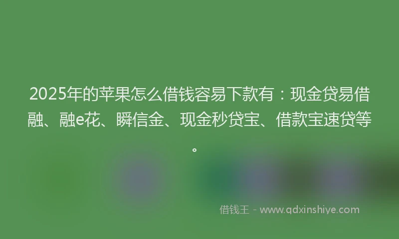 2025年的苹果怎么借钱容易下款有：现金贷易借融、融e花、瞬信金、现金秒贷宝、借款宝速贷等。