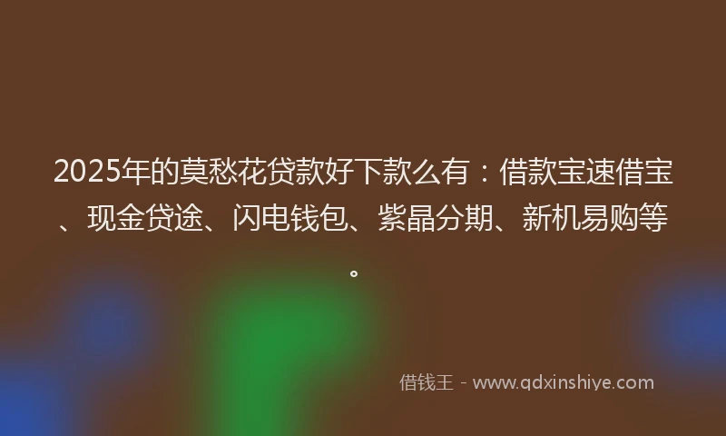 2025年的莫愁花贷款好下款么有：借款宝速借宝、现金贷途、闪电钱包、紫晶分期、新机易购等。