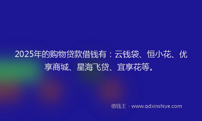 2025年的购物贷款借钱有：云钱袋、恒小花、优享商城、星海飞贷、宜享花等。
