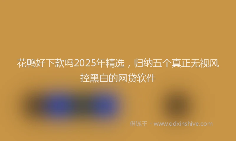 花鸭好下款吗2025年精选，归纳五个真正无视风控黑白的网贷软件