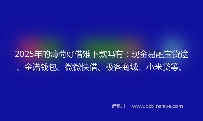 2025年的薄荷好借难下款吗有：现金易融宝贷途、金诺钱包、微微快借、极客商城、小米贷等。