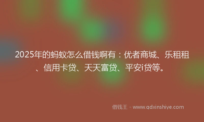 2025年的蚂蚁怎么借钱啊有：优者商城、乐租租、信用卡贷、天天富贷、平安i贷等。