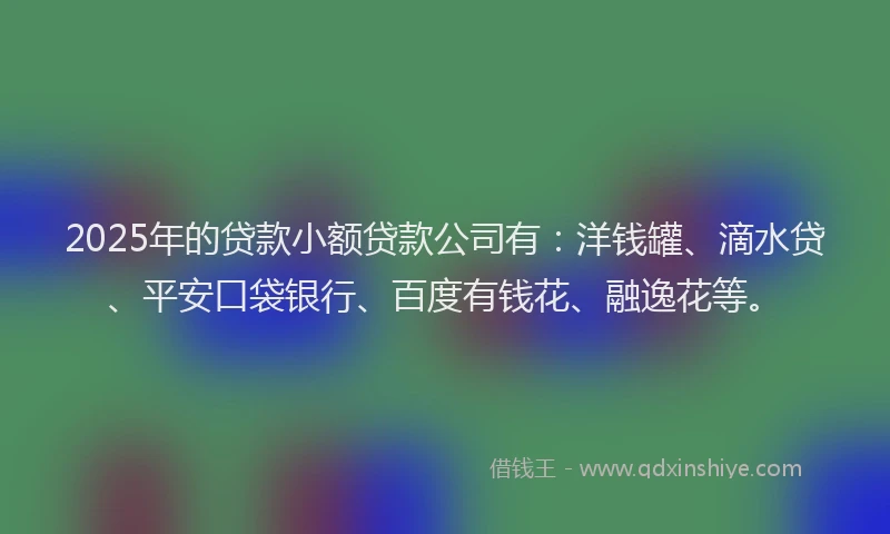 2025年的贷款小额贷款公司有：洋钱罐、滴水贷、平安口袋银行、百度有钱花、融逸花等。