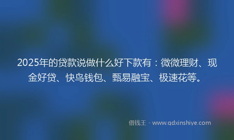 2025年的贷款说做什么好下款有：微微理财、现金好贷、快鸟钱包、甄易融宝、极速花等。