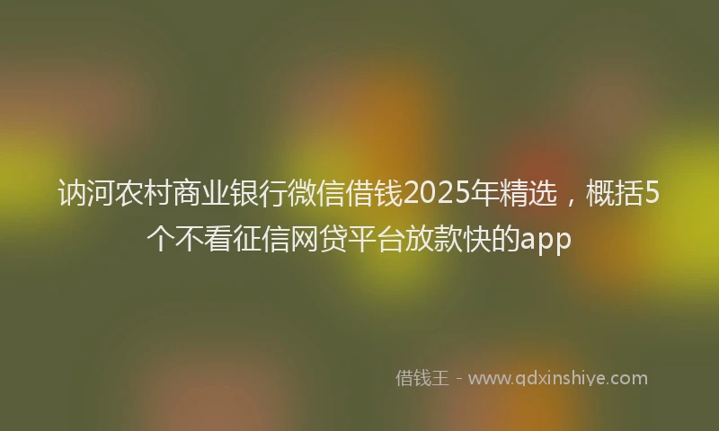 讷河农村商业银行微信借钱2025年精选，概括5个不看征信网贷平台放款快的app