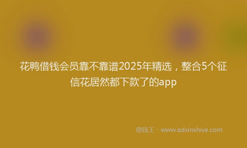 花鸭借钱会员靠不靠谱2025年精选，整合5个征信花居然都下款了的app