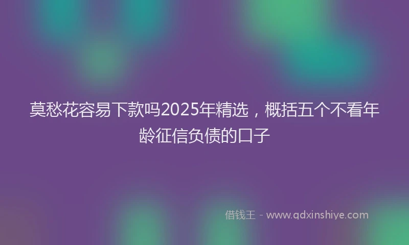 莫愁花容易下款吗2025年精选，概括五个不看年龄征信负债的口子