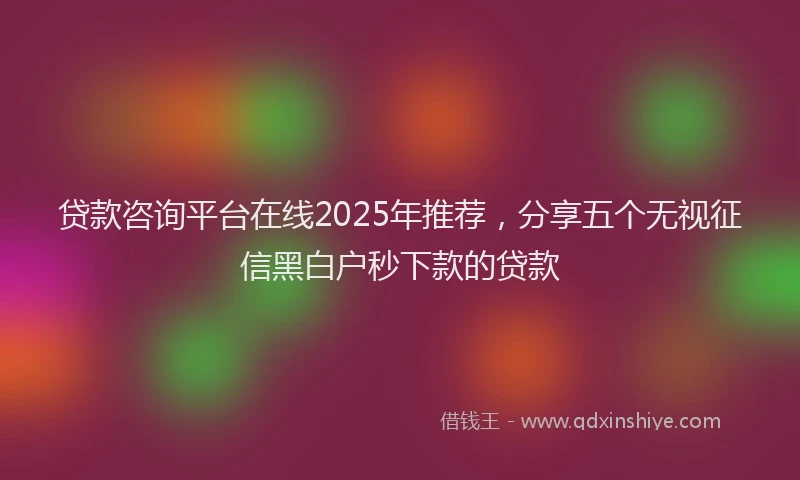 贷款咨询平台在线2025年推荐，分享五个无视征信黑白户秒下款的贷款