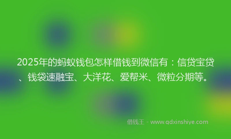 2025年的蚂蚁钱包怎样借钱到微信有：信贷宝贷、钱袋速融宝、大洋花、爱帮米、微粒分期等。