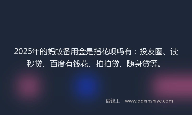 2025年的蚂蚁备用金是指花呗吗有：投友圈、读秒贷、百度有钱花、拍拍贷、随身贷等。
