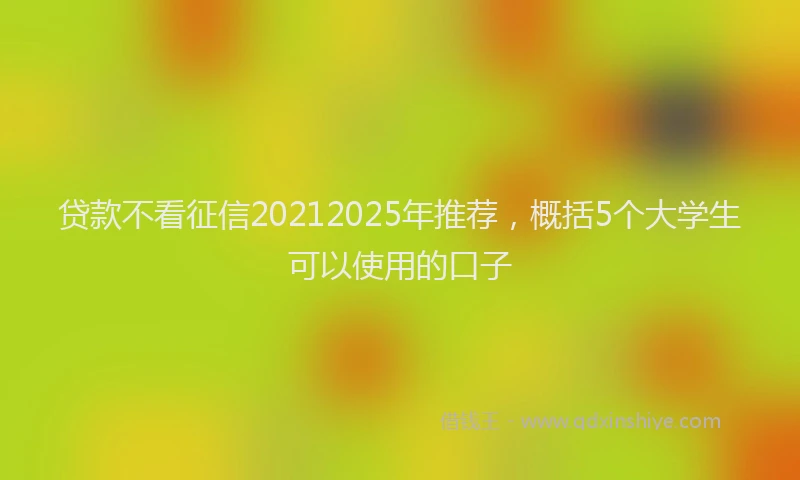 贷款不看征信20212025年推荐，概括5个大学生可以使用的口子