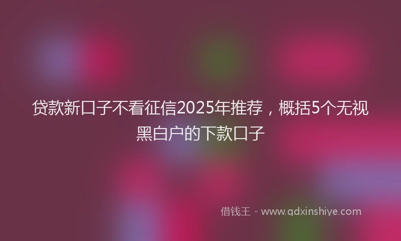 贷款新口子不看征信2025年推荐，概括5个无视黑白户的下款口子