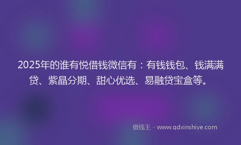 2025年的谁有悦借钱微信有：有钱钱包、钱满满贷、紫晶分期、甜心优选、易融贷宝盒等。
