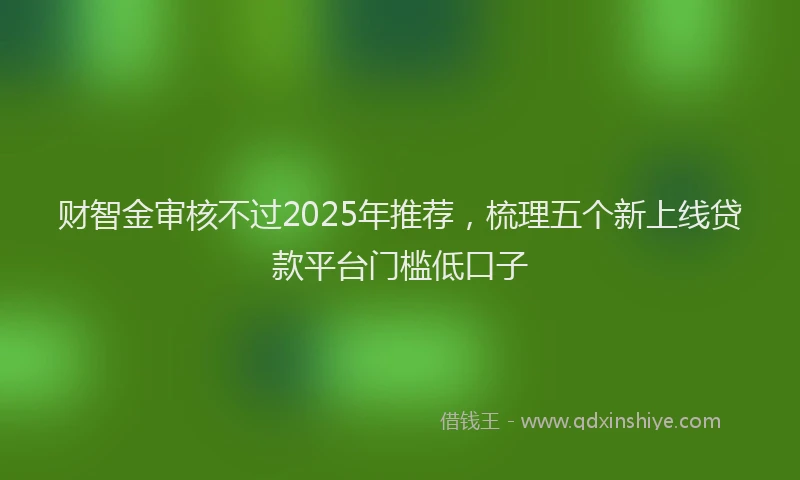 财智金审核不过2025年推荐，梳理五个新上线贷款平台门槛低口子