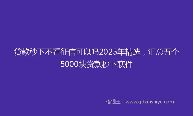 贷款秒下不看征信可以吗2025年精选，汇总五个5000块贷款秒下软件