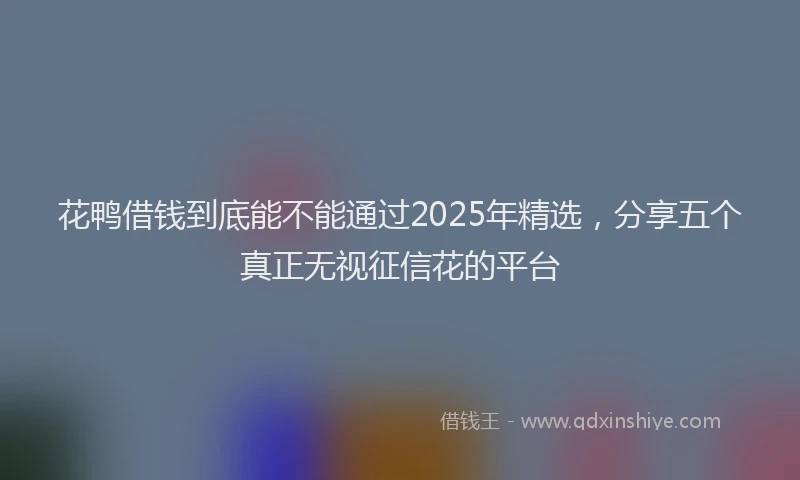 花鸭借钱到底能不能通过2025年精选，分享五个真正无视征信花的平台