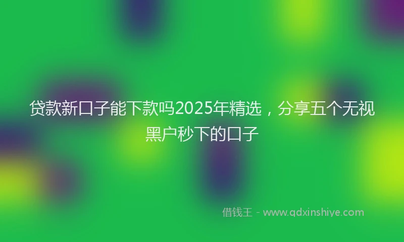 贷款新口子能下款吗2025年精选，分享五个无视黑户秒下的口子