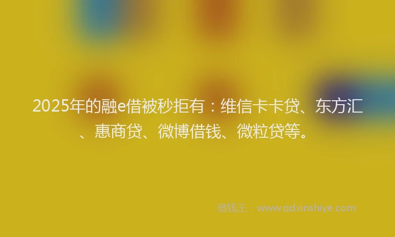 2025年的融e借被秒拒有：维信卡卡贷、东方汇、惠商贷、微博借钱、微粒贷等。
