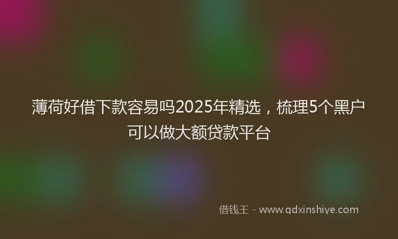 薄荷好借下款容易吗2025年精选，梳理5个黑户可以做大额贷款平台