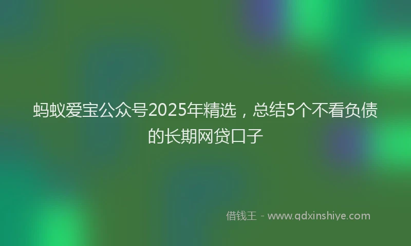 蚂蚁爱宝公众号2025年精选，总结5个不看负债的长期网贷口子