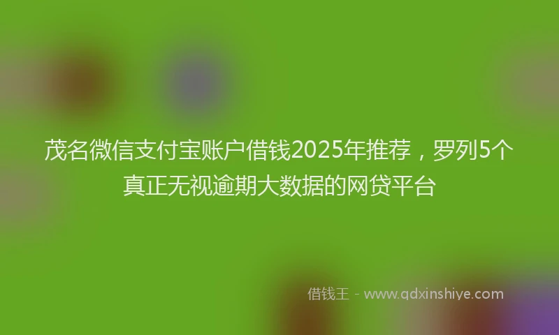 茂名微信支付宝账户借钱2025年推荐，罗列5个真正无视逾期大数据的网贷平台