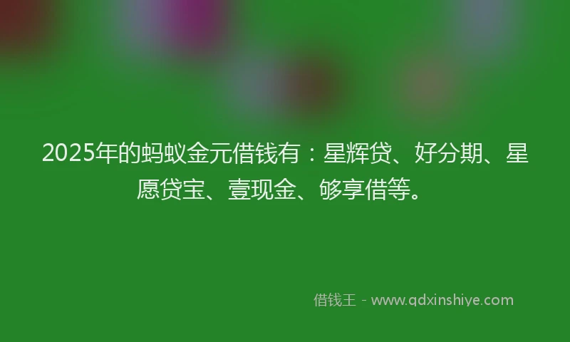 2025年的蚂蚁金元借钱有：星辉贷、好分期、星愿贷宝、壹现金、够享借等。