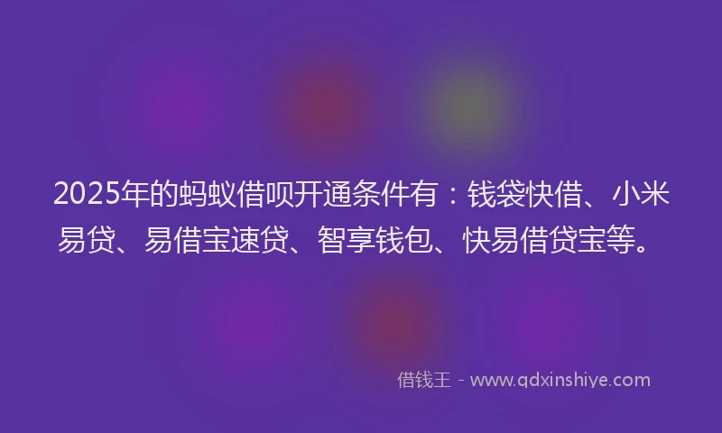 2025年的蚂蚁借呗开通条件有：钱袋快借、小米易贷、易借宝速贷、智享钱包、快易借贷宝等。