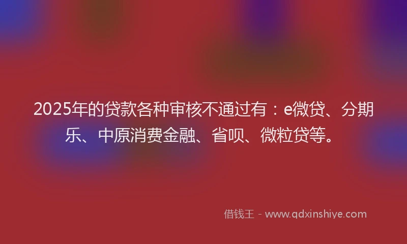 2025年的贷款各种审核不通过有：e微贷、分期乐、中原消费金融、省呗、微粒贷等。