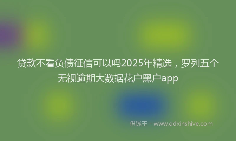 贷款不看负债征信可以吗2025年精选，罗列五个无视逾期大数据花户黑户app